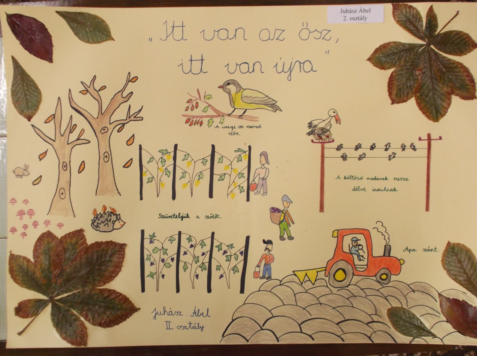 20131204 rajzpalyazat01