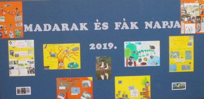 20190529 madfaknapja